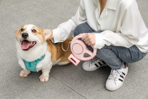 Dog Leash - Image 6